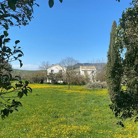 Agriturismo Colle Igino 마테라 외부 사진