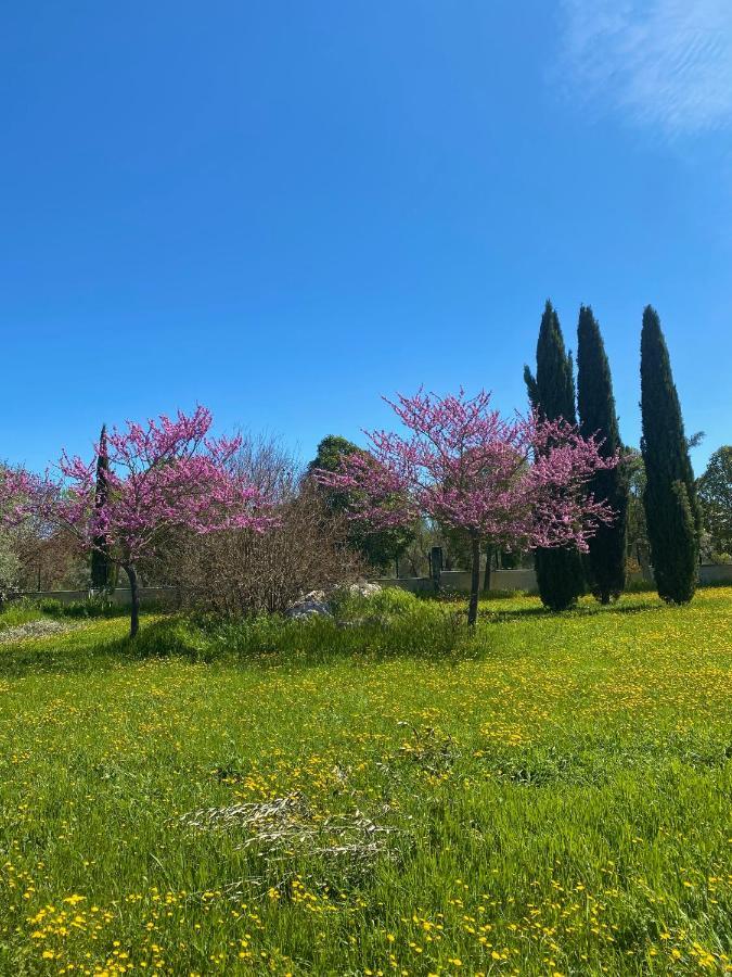 Agriturismo Colle Igino 마테라 외부 사진