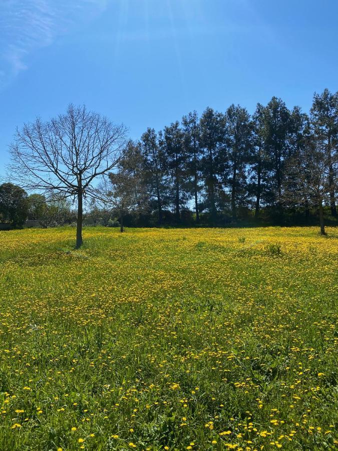 Agriturismo Colle Igino 마테라 외부 사진
