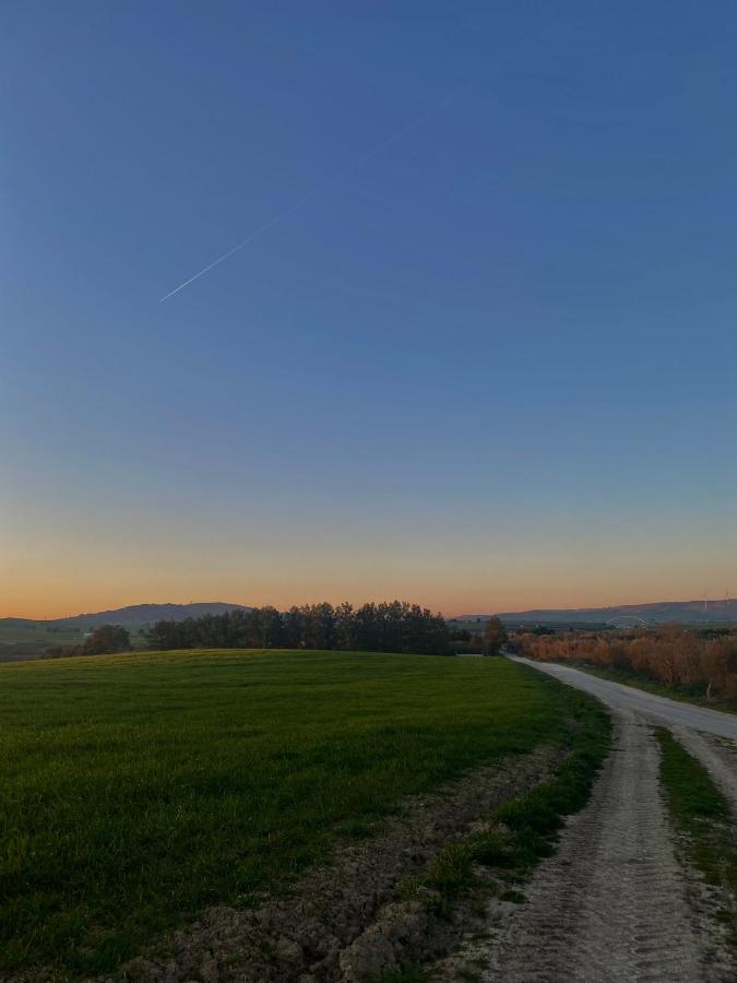 Agriturismo Colle Igino 마테라 외부 사진