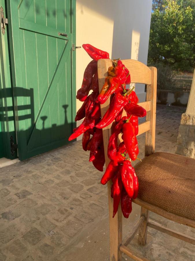 Agriturismo Colle Igino 마테라 외부 사진