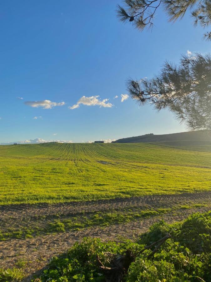 Agriturismo Colle Igino 마테라 외부 사진
