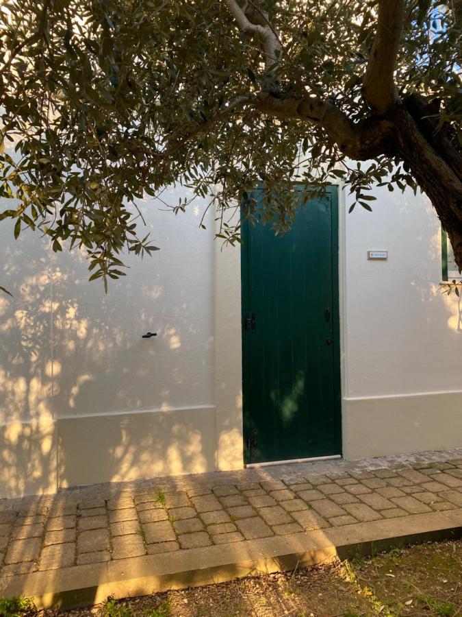 Agriturismo Colle Igino 마테라 외부 사진