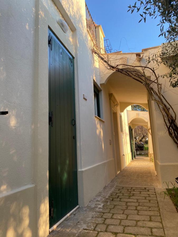 Agriturismo Colle Igino 마테라 외부 사진