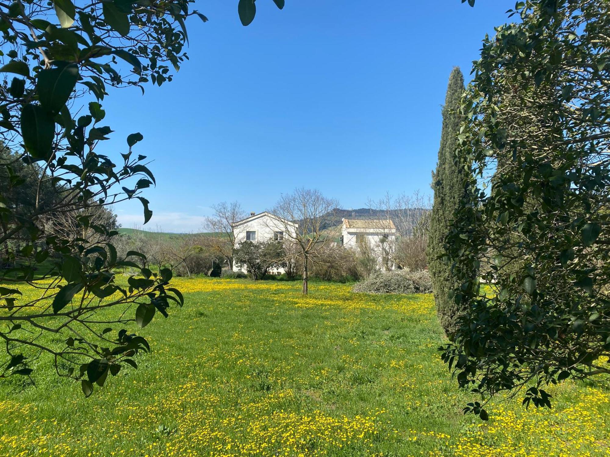 Agriturismo Colle Igino 마테라 외부 사진