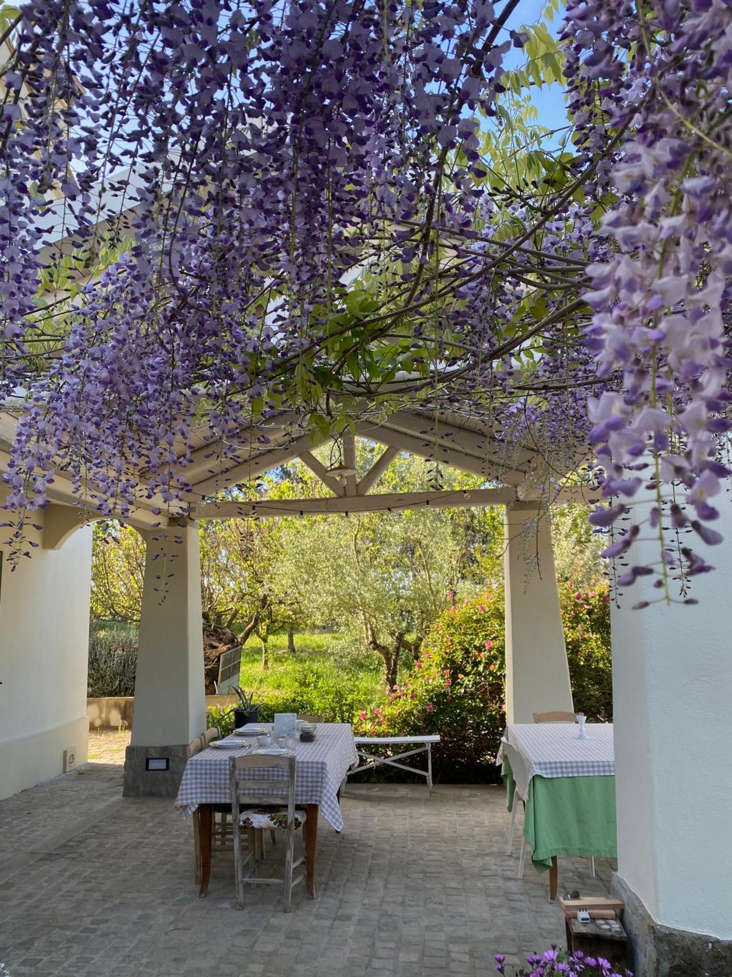Agriturismo Colle Igino 마테라 외부 사진