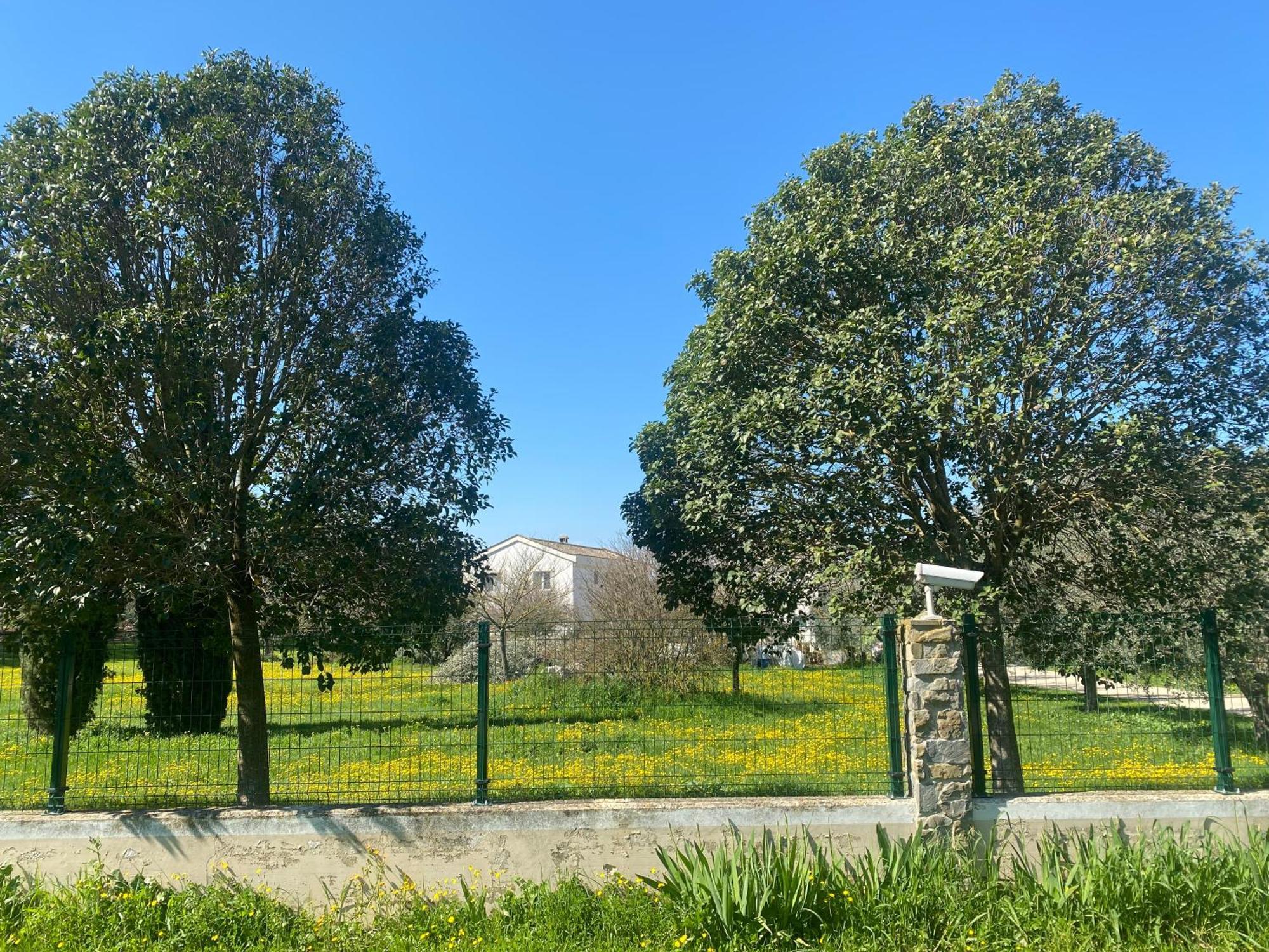 Agriturismo Colle Igino 마테라 외부 사진