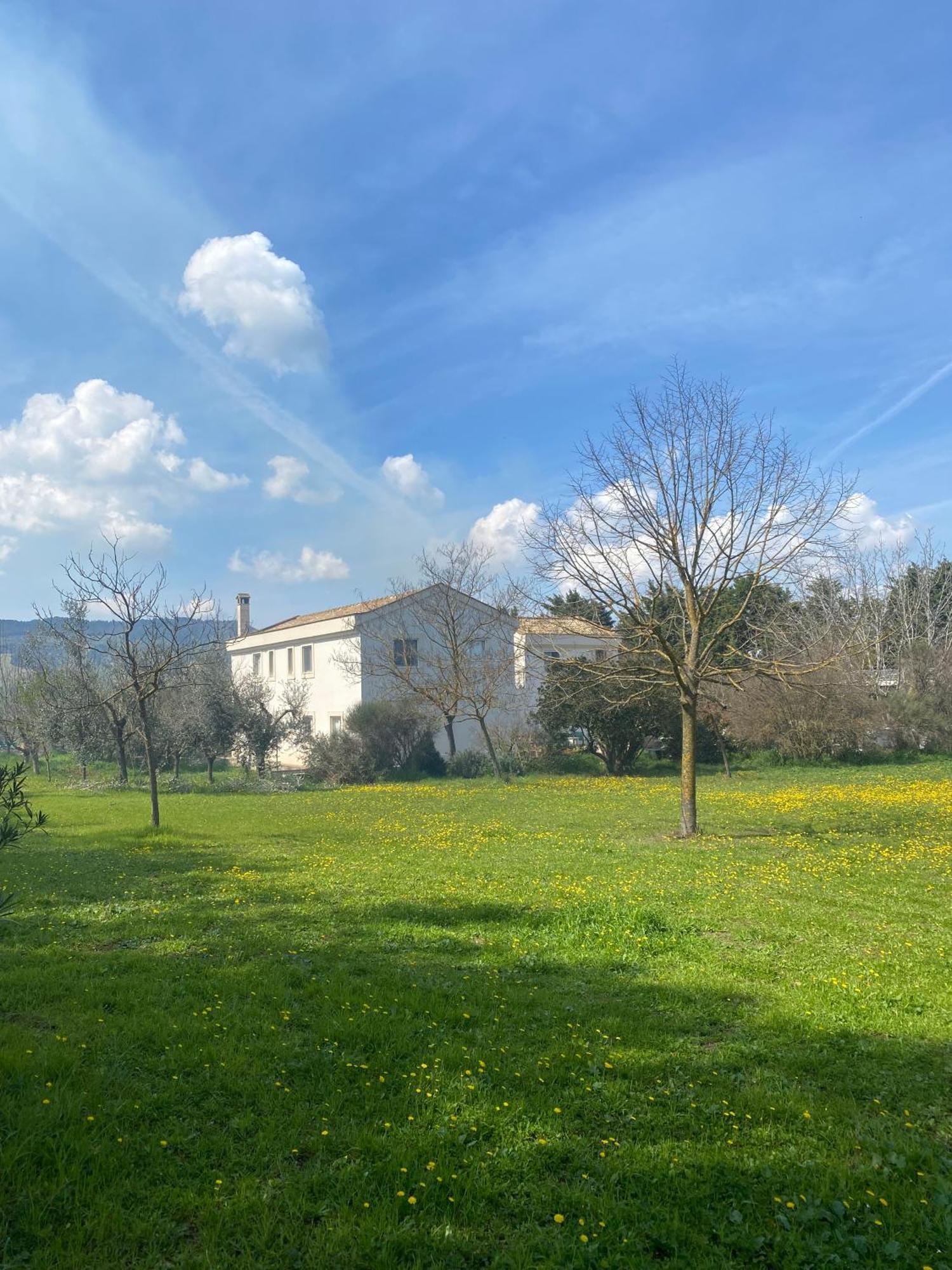 Agriturismo Colle Igino 마테라 외부 사진