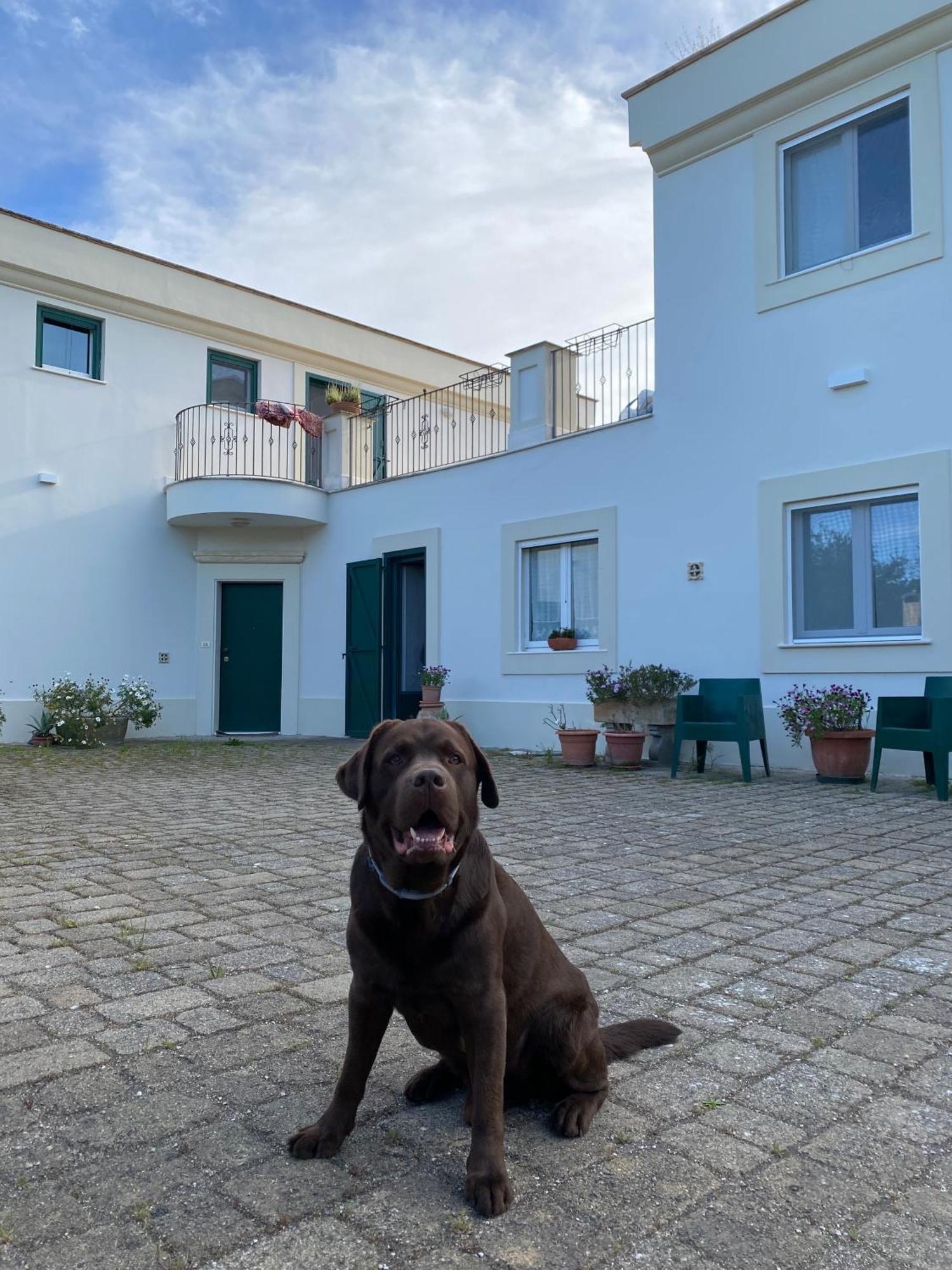 Agriturismo Colle Igino 마테라 외부 사진